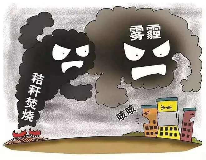 先行”保护环境就是保护我们自己凯时尊龙六五环境日“美丽中国我(图4)